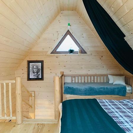 Willa Dadejówka Zakopane Zewnętrze zdjęcie